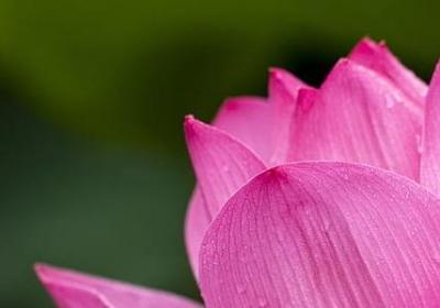 痛苦得什么填词语(合集43句)