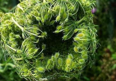 秉性的词语解释(合集40句)