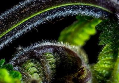 祝福别人的词语(共60句)