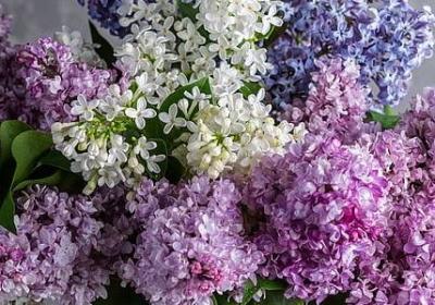 短什么四字词语(70句) 短什么四字词语(70句)