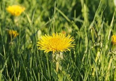 秋色什么词语(汇总71句) 秋色什么词语(汇总71句)