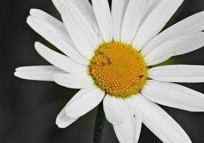 耸怎么组词语(推荐70句) 耸怎么组词语(推荐70句)