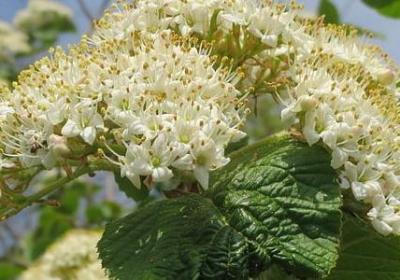 类似商量商量的词语(合集79句)