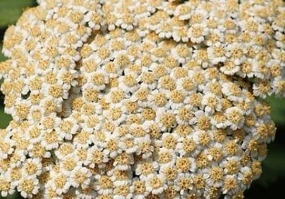 自什么自什么的四字词语(汇总52句) 自什么自什么的四字词语(汇总52句)