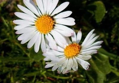 艮加偏旁组词语(共40句) 艮加偏旁组词语(共40句)