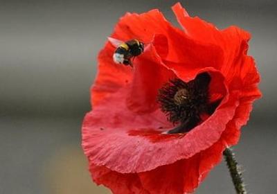 表示很疼的词语(优选50句)