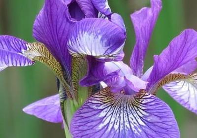 表示拿的词语有(优选40句)