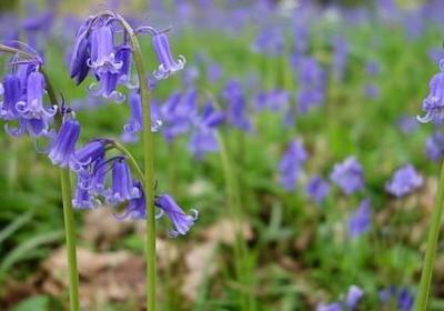 表示品质的词语(热门71句) 表示品质的词语(热门71句)