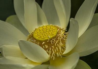 若隐若现词语(10句)