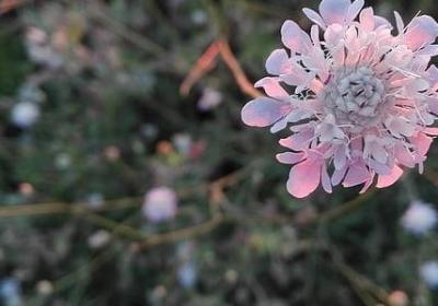 表示健康的词语(优选51句)