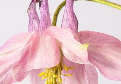 表示瞅的词语(通用46句)