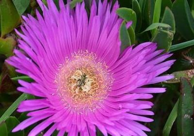 表示阴天的四字词语(共51句)