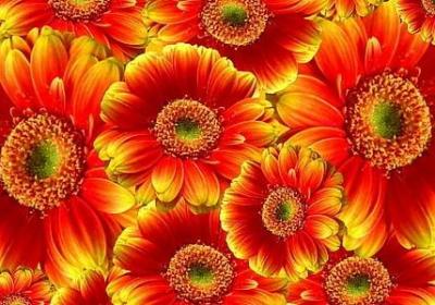 词语接龙焦躁不安(共78句) 词语接龙焦躁不安(共78句)