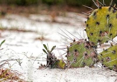 赞美歌曲好听的词语(合集64句)