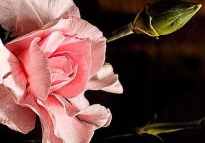 词语接龙空空荡荡(汇总50句)