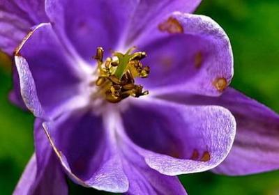 词语用英语怎么说(汇总160句)