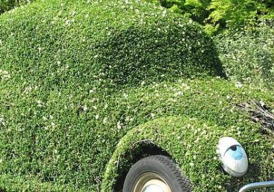 词语接龙大全(推荐60句)