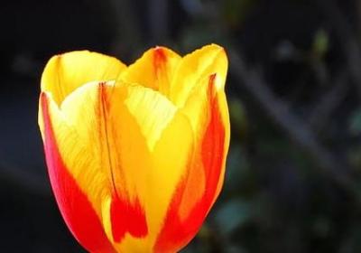 表达等待回复的词语(必备40句)