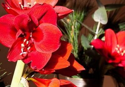 赞美秋天的词语(通用41句)