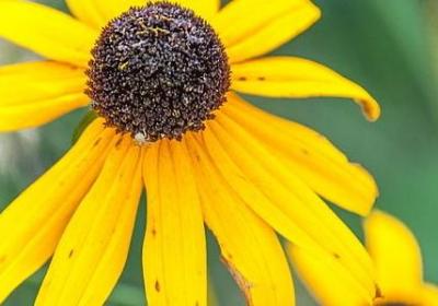 爱情名言英语(汇总79句) 爱情名言英语(汇总79句)