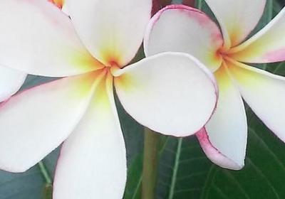 钓鱼的启示词语(汇总47句)