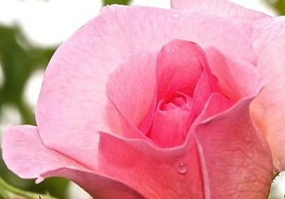 火影励志名言(实用50句) 火影励志名言(实用50句)