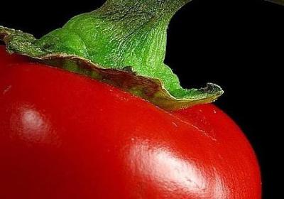 清明节的名言(合集79句)