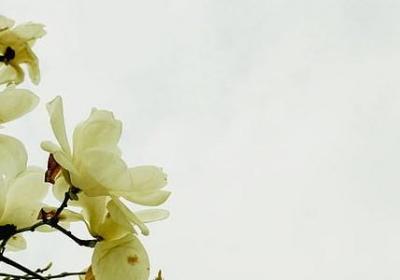 车站词语接龙(推荐50句) 车站词语接龙(推荐50句)