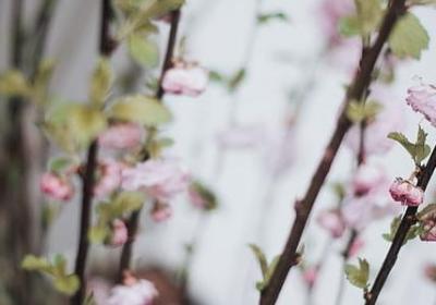 热爱生命的名言(热门10句)