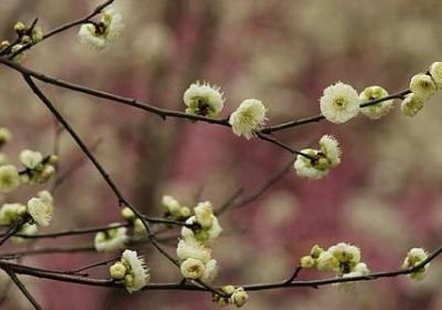 有意义的名言名句(优选80句)