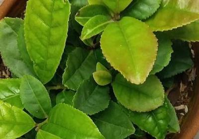 激励人的名言(共40句)