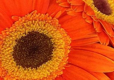 李世民的名言(推荐40句)