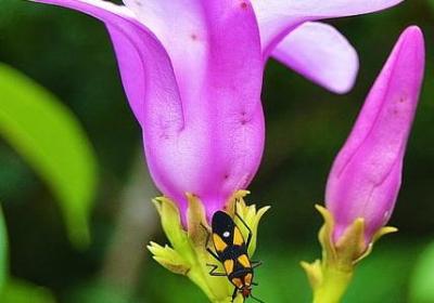 有哲理的名人名言(20句)