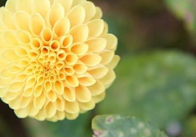 歌颂友谊的名言(热门70句)