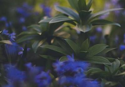 有骨气的名言(推荐57句)