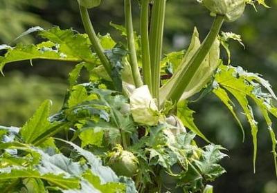 爱情的经典名言(推荐80句)