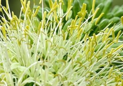 活出自己的名言(通用40句)