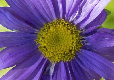 朋友的名言名句(实用20句)