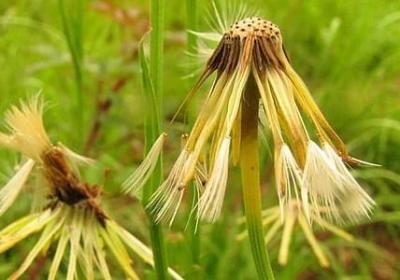 沟通名人名言(95句)