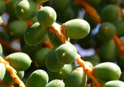 爱眼护眼名言(汇总50句)