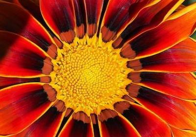 法国名人名言(70句)