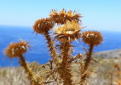 理解的名人名言(共72句)