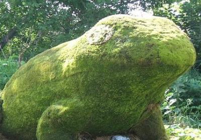 真善美的名言(优选20句)