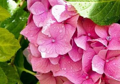 知错就改名言(通用20句)