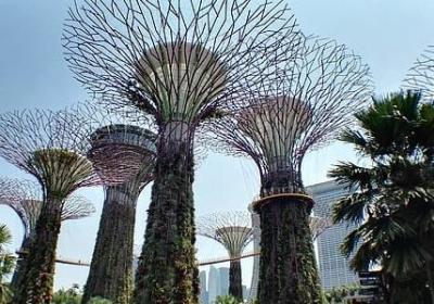 王俊凯的名言(合集80句)