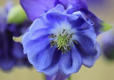 海德格尔的名言(优选74句)