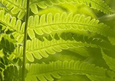 活在当下名言(合集42句)