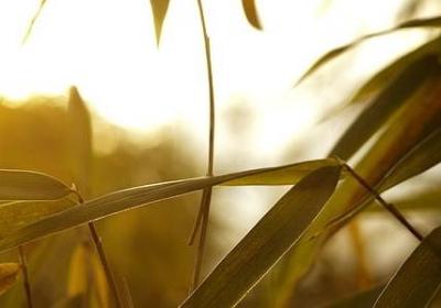 物理学家的名言(推荐20句)