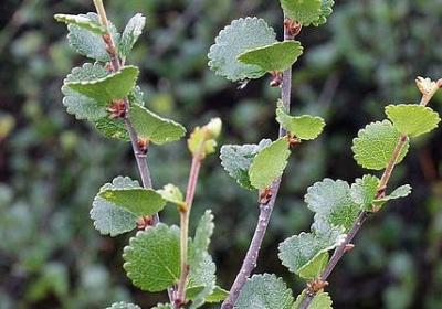 民生的名言警句(共50句)