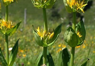 用心的名言警句(优选40句)